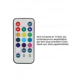 KUMANDALI IŞIKLI ANAL PLUG